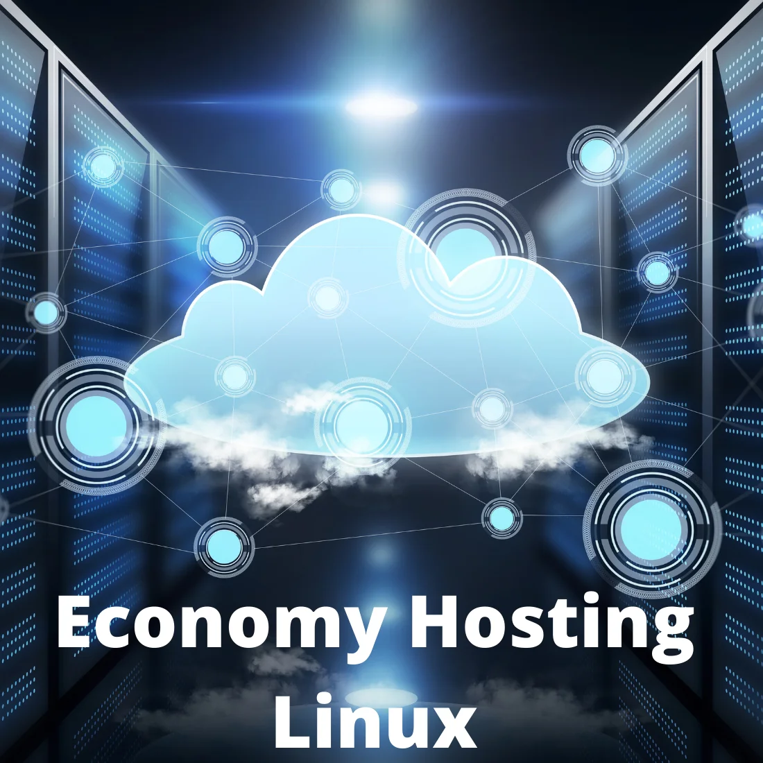 Linux Web Hosting (Economy)